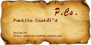 Pantits Csatád névjegykártya